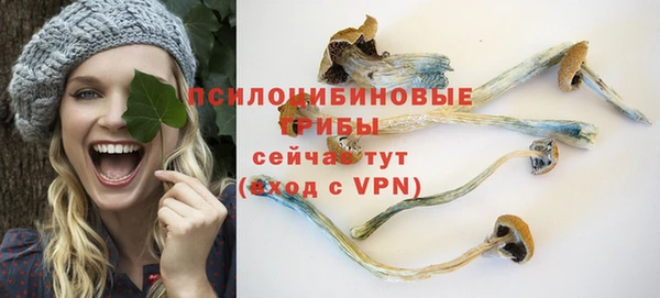 apvp Арсеньев