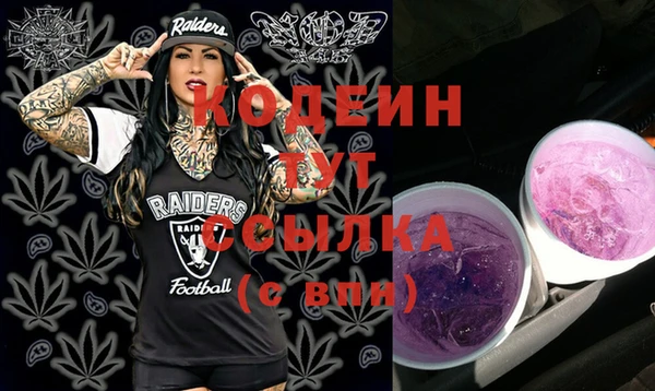 apvp Арсеньев