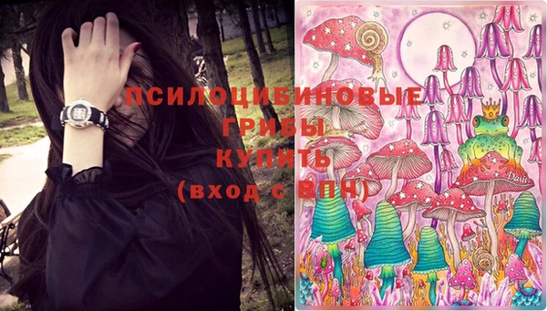 jwh Бородино