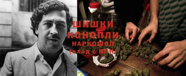 apvp Арсеньев