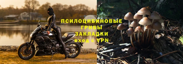 круглые Аркадак