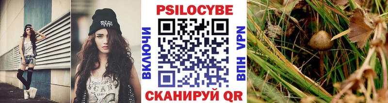Галлюциногенные грибы Psilocybine cubensis  Новозыбков 
